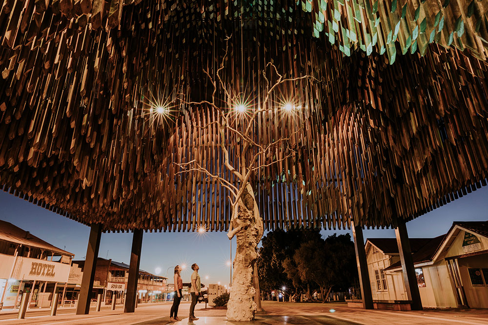 The Barcaldine Tree of Knowledge.