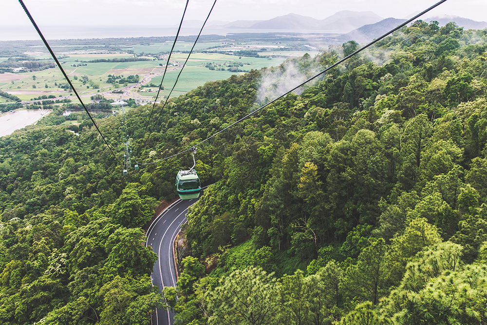 Skyrail cable car gliding over rainforest canopy between Cairns and Kuranda in Tropical North Queensland 