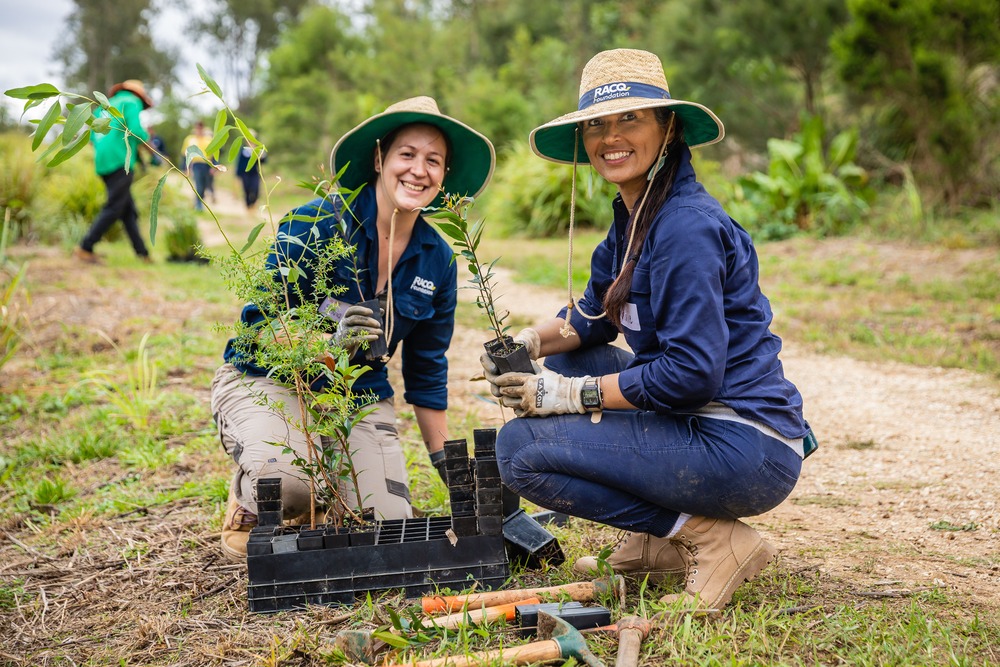 Gympie Muster Hero Image
