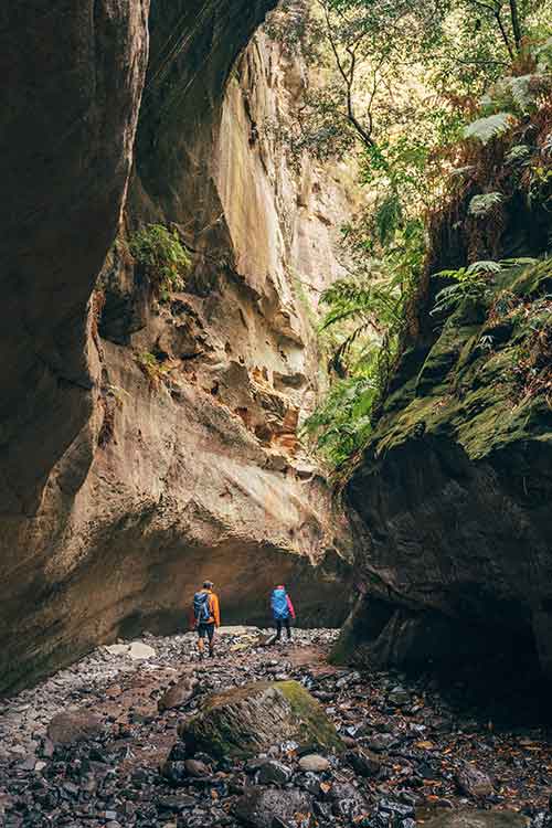 Carnarvon Gorge hiking