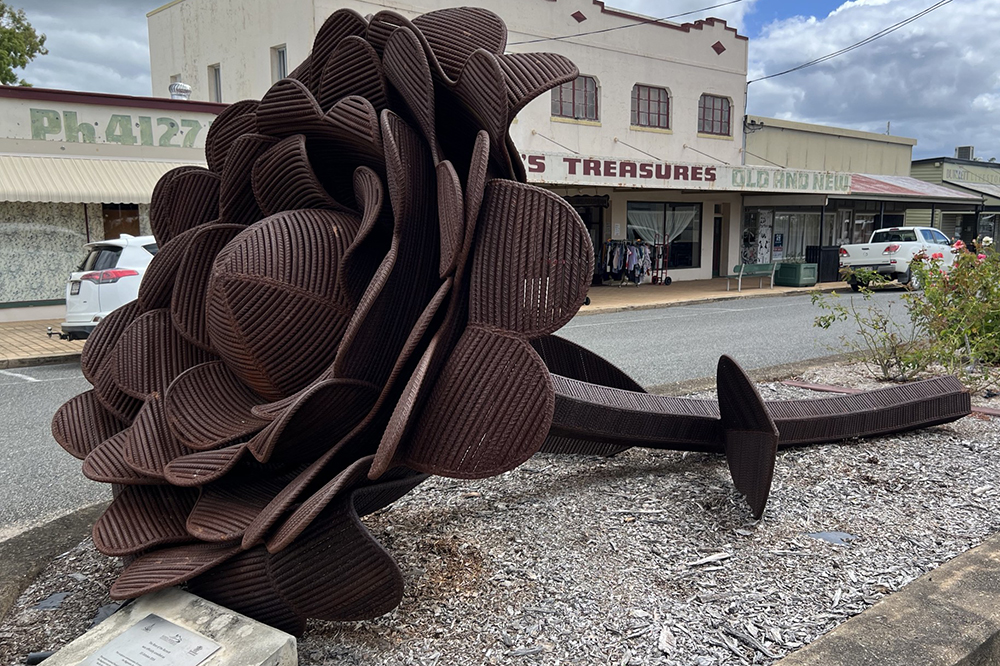 Big Rose at Biggenden
