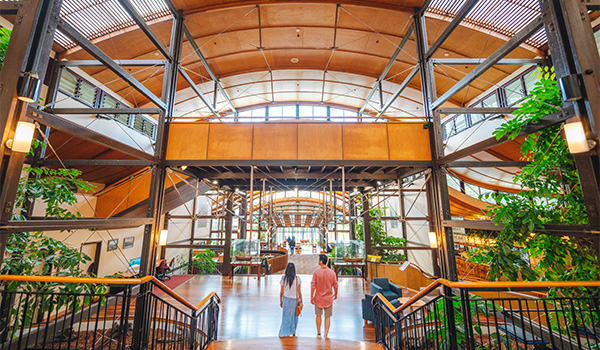 Kingfisher Bay Resort Photo Tourism and Events Queensland