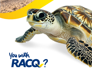 Travel insurance