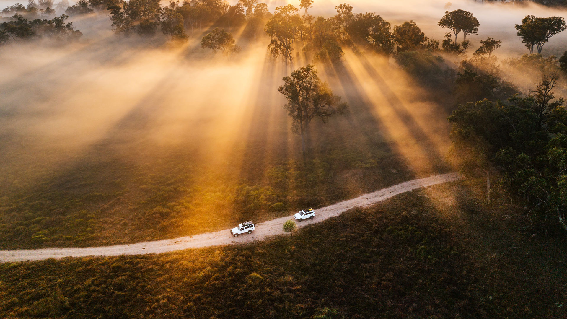 Two white vehicles travel along a dirt road at sunrise, surrounded by mist in Carnarvon National Park, Central Queensland