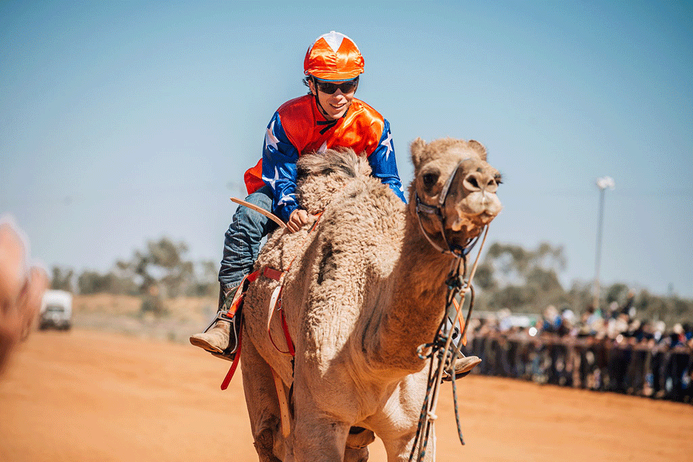 Record prizemoney for Boulia camel races